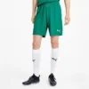 Men's Puma TeamGOAL 23 Knit Shorts Pepper Green - 70426205 300