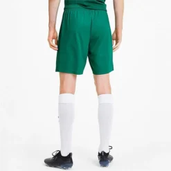 Men's Puma TeamGOAL 23 Knit Shorts Pepper Green - 70426205 300 -Sports Fashion 70426205 300 M3