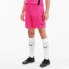 Men's Puma TeamGOAL 23 Knit Shorts Fluo Pink/Puma Black - 70426225 690