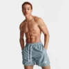 Men's Nike Sportswear Sport Essentials Lined Flow Shorts Ashen Slate/White - DM6829 493