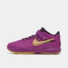 Little Kids' Nike LeBron 20 SE Stretch Lace Basketball Shoes Vivid Purple/Metallic Gold/Black - FD0208 500