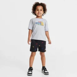 Toddler And Little Kids' The North Face Cotton Summer T-Shirt And Shorts Set TNF Light Grey Heather/Summit Navy - NF0A7ZZM 050